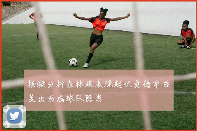 杨毅分析森林狼表现起伏爱德华兹复出或成球队隐患